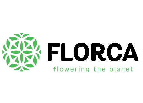 Florca | Honselersdijk